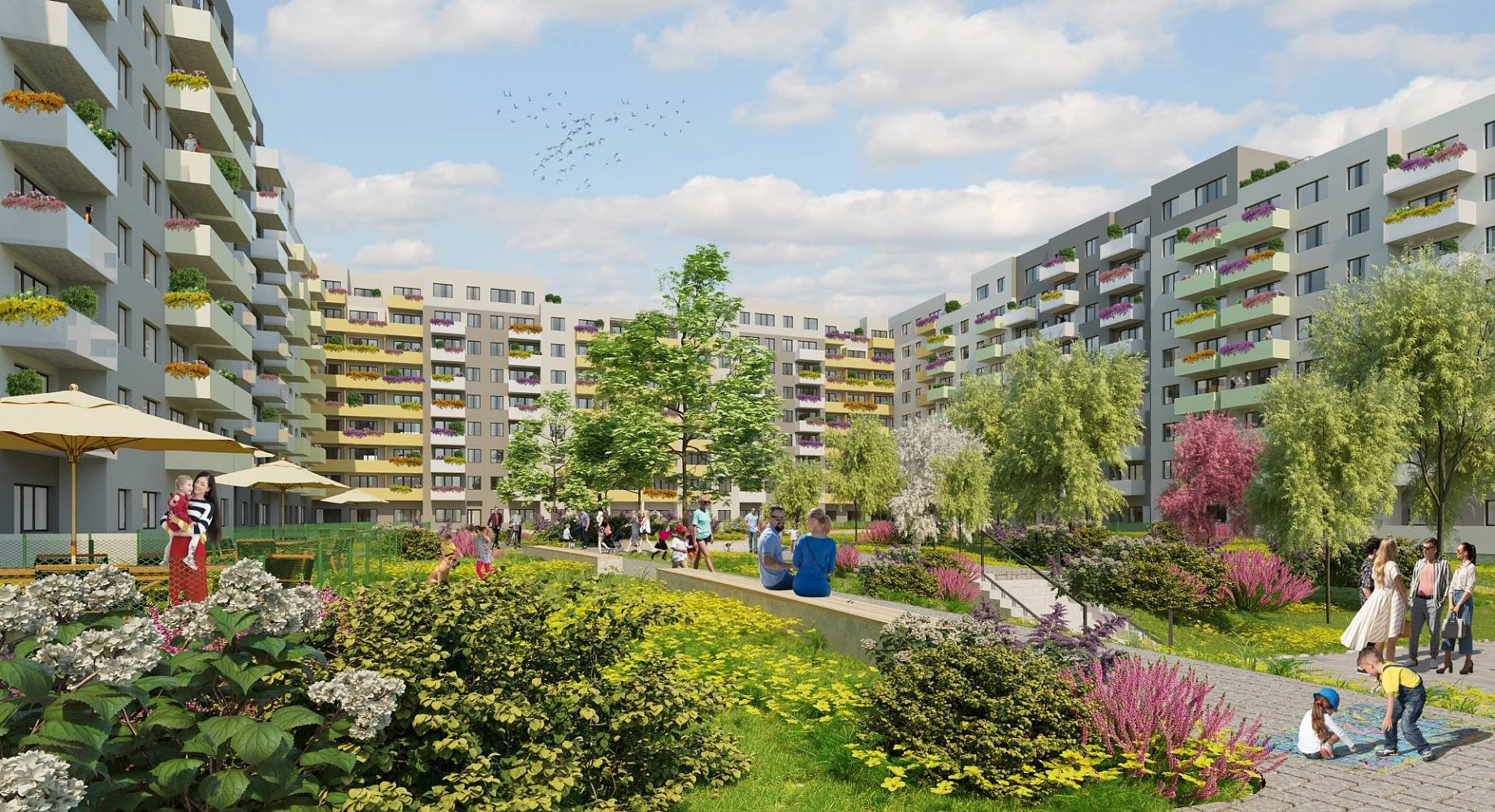 Fotka 6 z 6