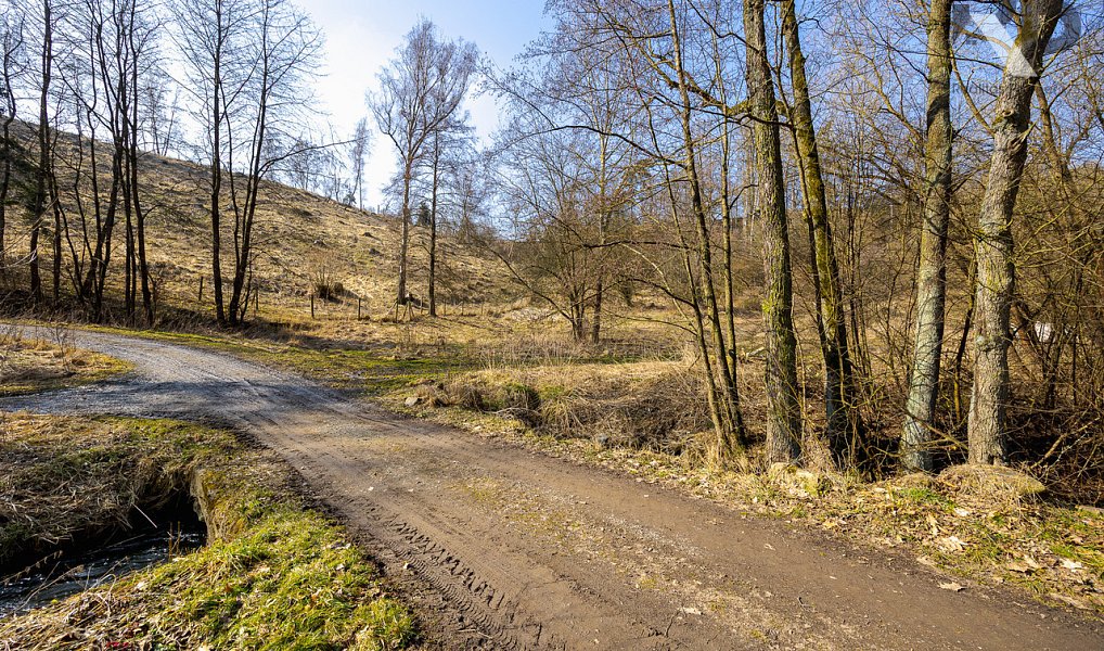Prodej stavebního pozemku 3 388 m², Luka nad Jihlavou – náhled fotky 6