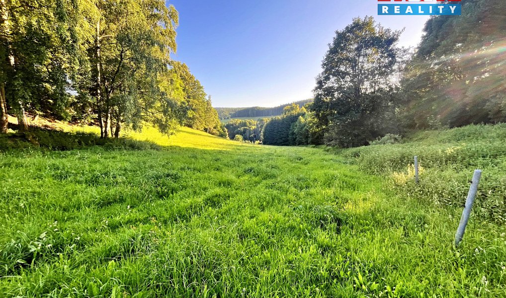Prodej louky 5 449 m², Teplice nad Metují – náhled fotky 9