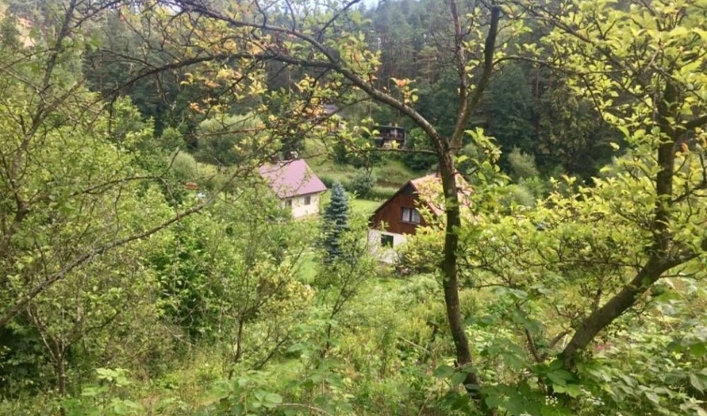 Prodej stavebního pozemku 3 004 m², Kaplice – náhled fotky 6