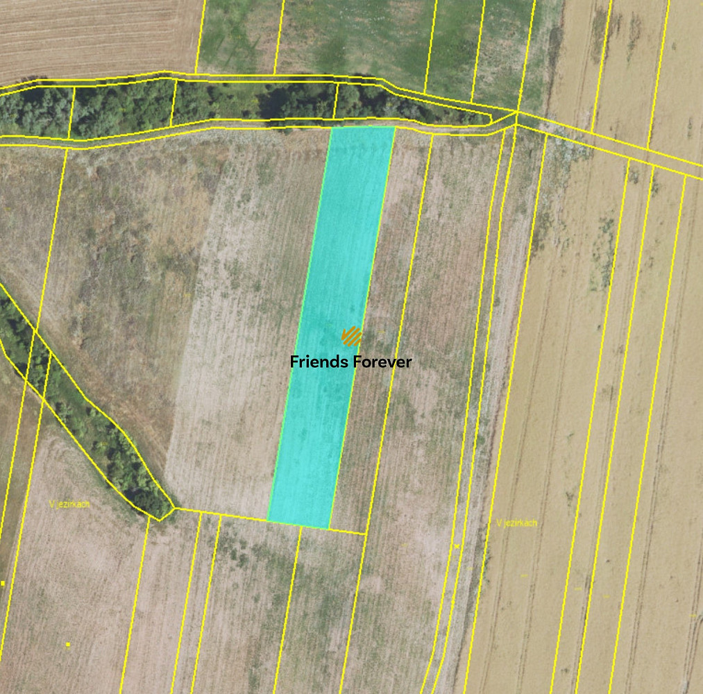 Prodej pole 7 411 m²