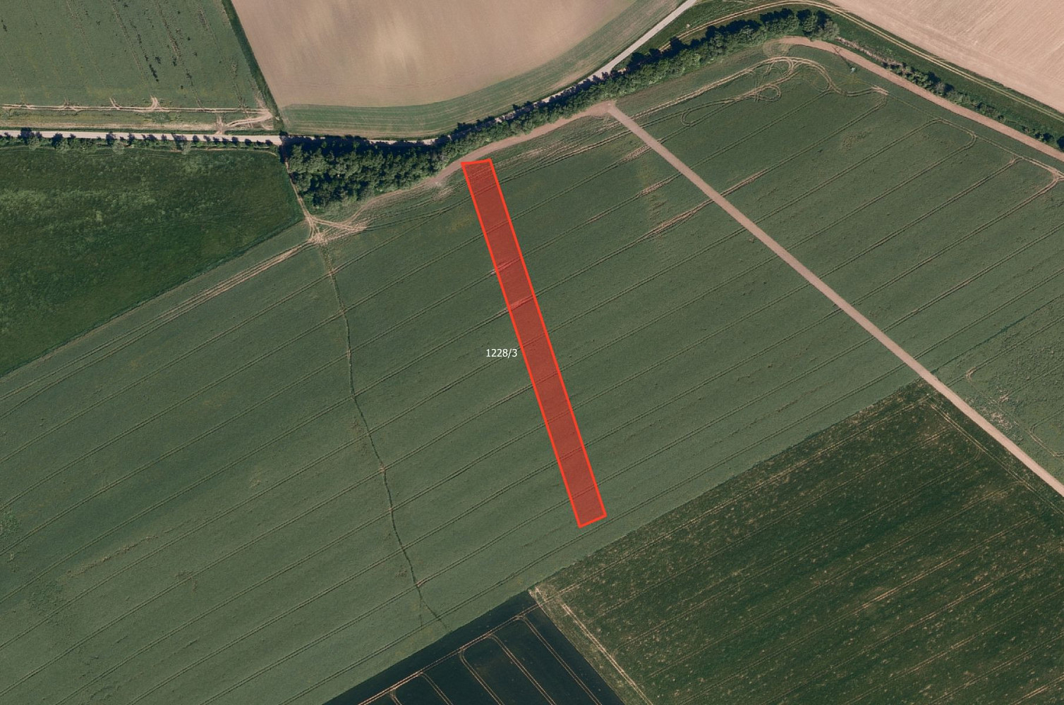 Prodej pole 5 998 m²