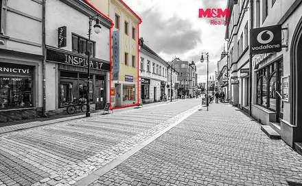 Prodej domu 200 m² s pozemkem 289 m², Jindřicha z Lipé, Česká Lípa