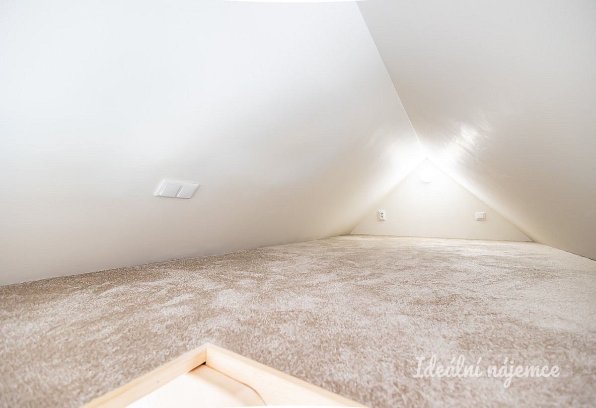 Pronájem bytu 3+kk 55 m² – fotografie 5