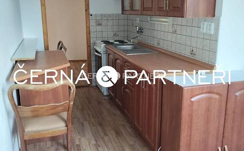 Pronájem bytu 2+1 54 m², Čapkova, Litvínov - Horní Litvínov, okres Most