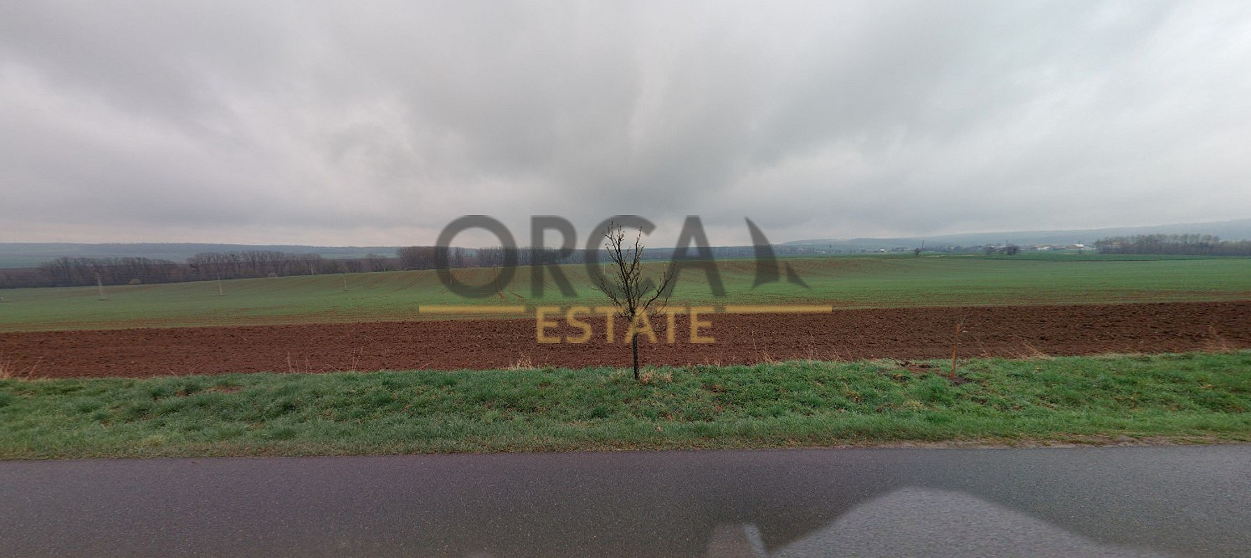 Prodej pole 1 886 m² – fotografie 4