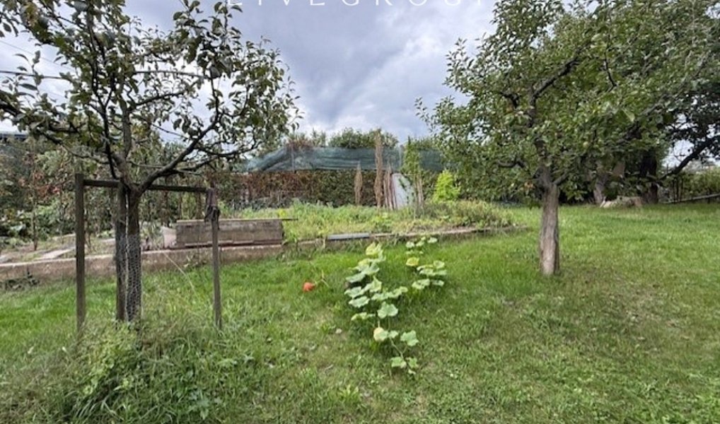 Prodej zahrady 1 180 m², Modřice – náhled fotky 8