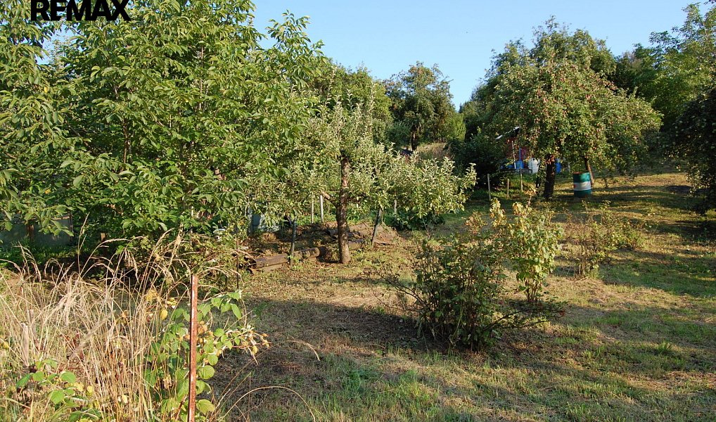 Prodej zahrady 655 m², Ráječko – náhled fotky 4
