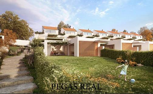 Prodej komerčního pozemku 17 013 m², Přítluky - Nové Mlýny, okres Břeclav