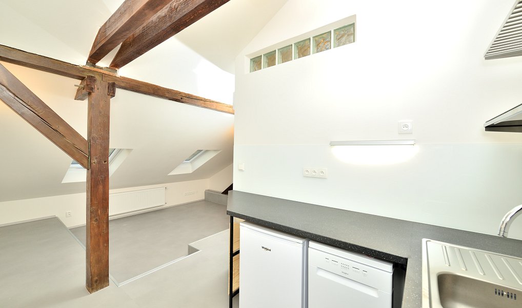 Pronájem bytu 1+kk 29 m², Praha – náhled fotky 5