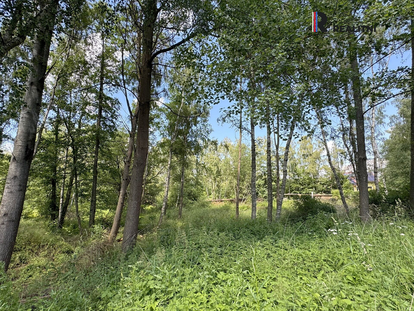 Prodej pozemku 3 000 m² – fotografie 3