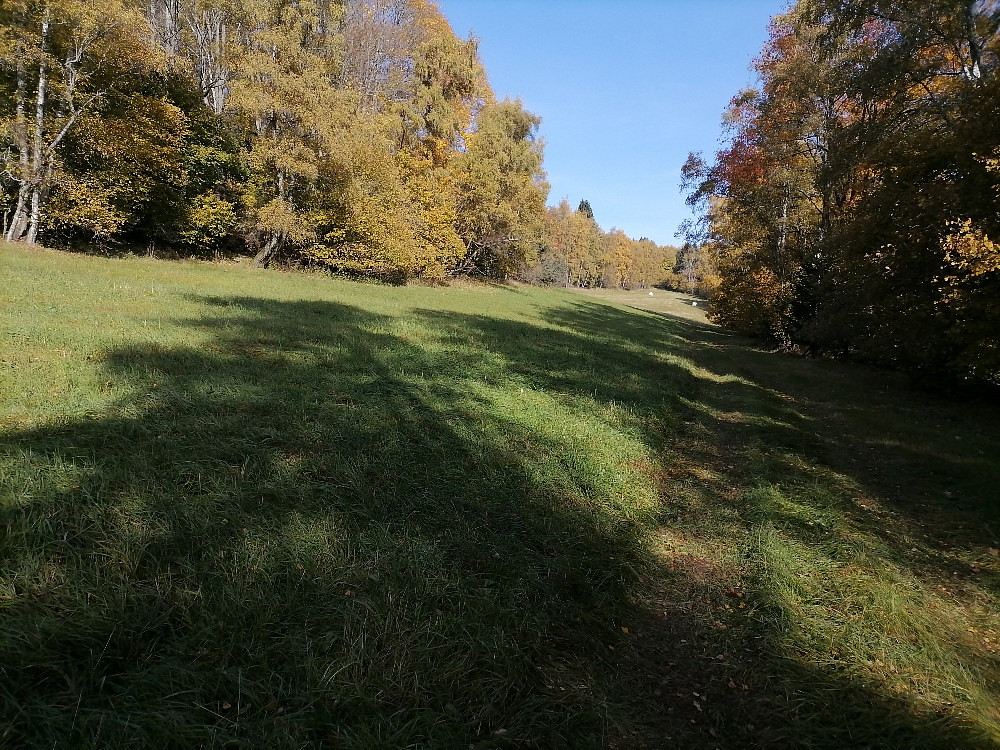 Prodej louky 25 304 m²