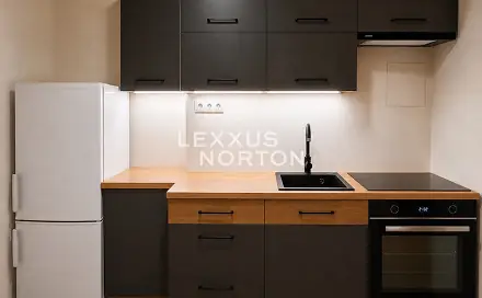 Pronájem bytu 2+1 55 m², Písecká, Praha 3 - Vinohrady