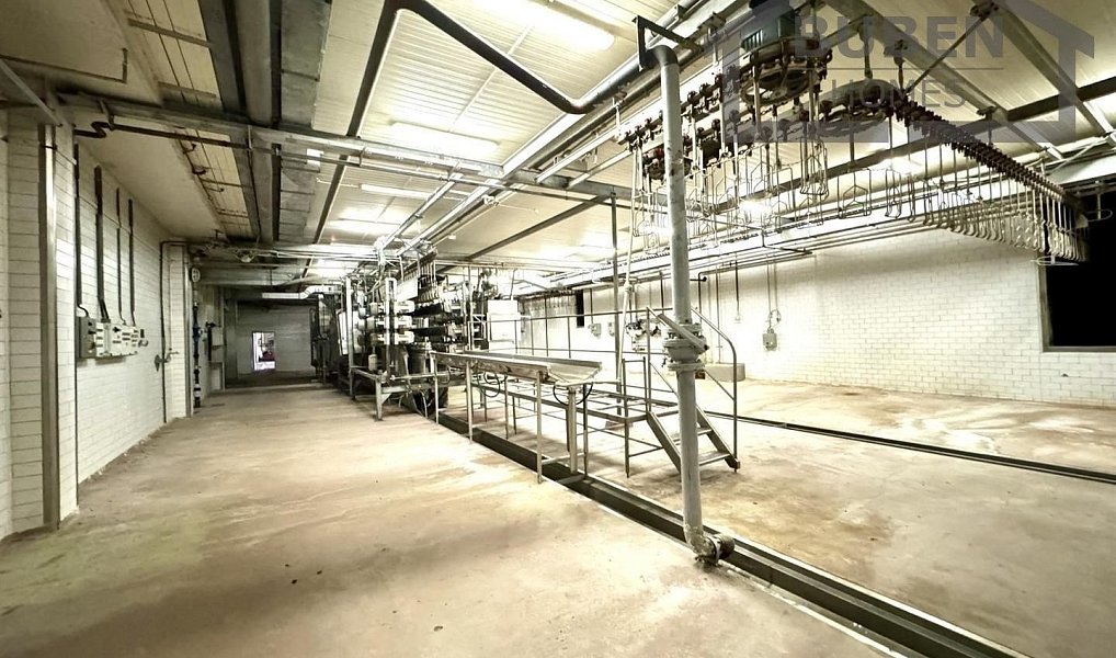 Prodej výrobních prostor 11 180 m², Lom u Tachova – náhled fotky 14