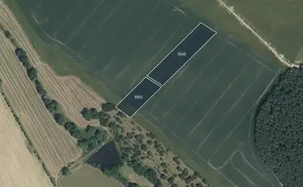 Prodej pole 8 248 m², Soběkury - Horušany, okres Plzeň-Jih