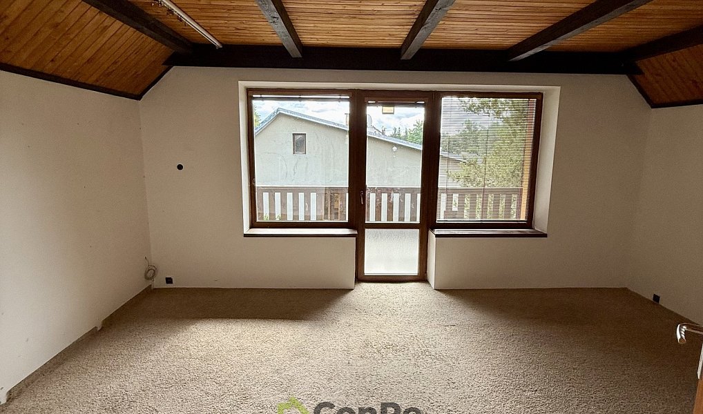Prodej domu 297 m² s pozemkem 2 452 m², Provodín – náhled fotky 14