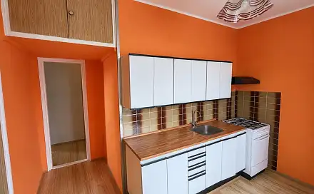 Pronájem bytu 2+1 54 m², Maxe Švabinského, Most