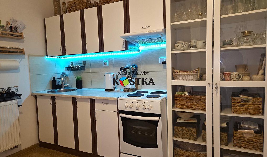 Pronájem bytu 1+1 48 m², Nový Jičín – náhled fotky 5