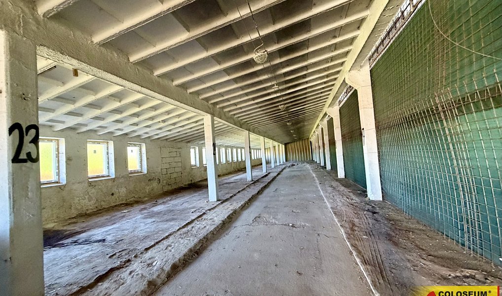 Pronájem skladovacích prostor 330 m², Chvalovice – náhled fotky 4