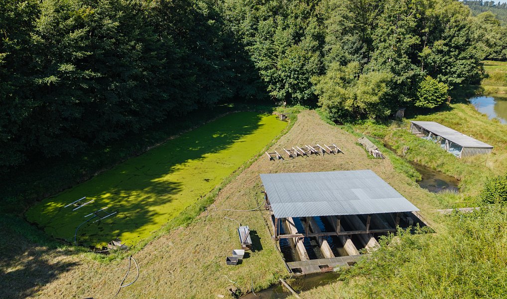 Pronájem vodní plochy 8 295 m², Nové Hrady – náhled fotky 3