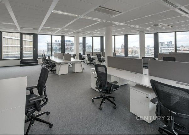 Pronájem kanceláře 535 m² – fotografie 2
