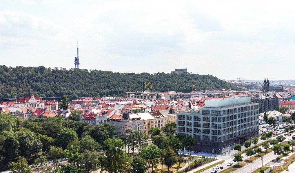 Pronájem kanceláře 700 m², Praha – náhled fotky 5
