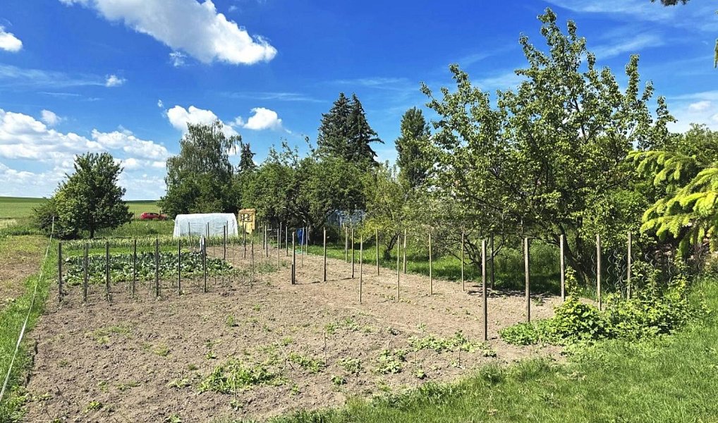 Prodej zahrady 1 306 m², Dolní Bezděkov – náhled fotky 2
