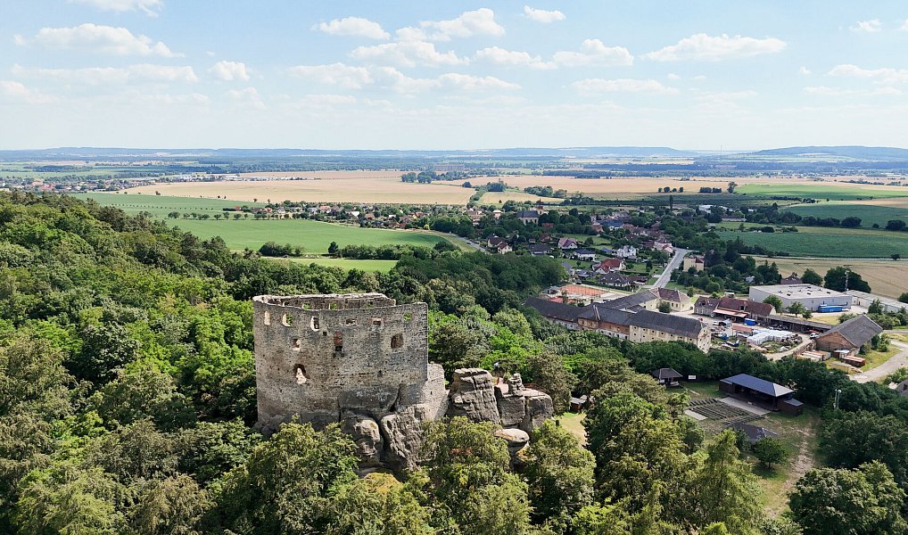 Prodej stavebního pozemku 1 005 m², Boseň – náhled fotky 4