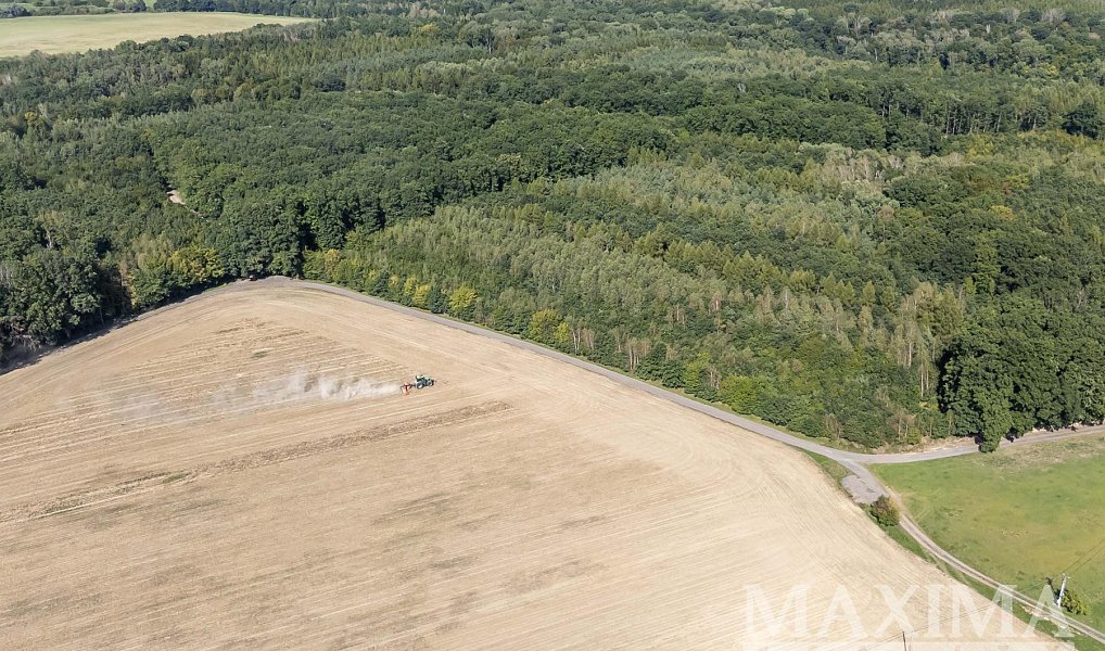 Prodej pole 3 636 m², Lhotky – náhled fotky 10