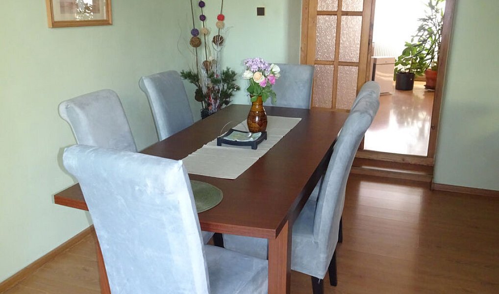 Prodej domu 250 m² s pozemkem 320 m², Pardubice – náhled fotky 15