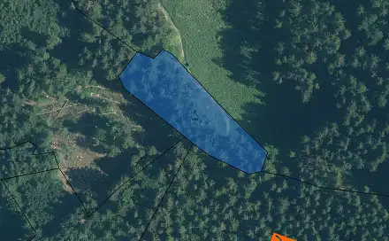 Prodej lesa 57 m², Vsetín