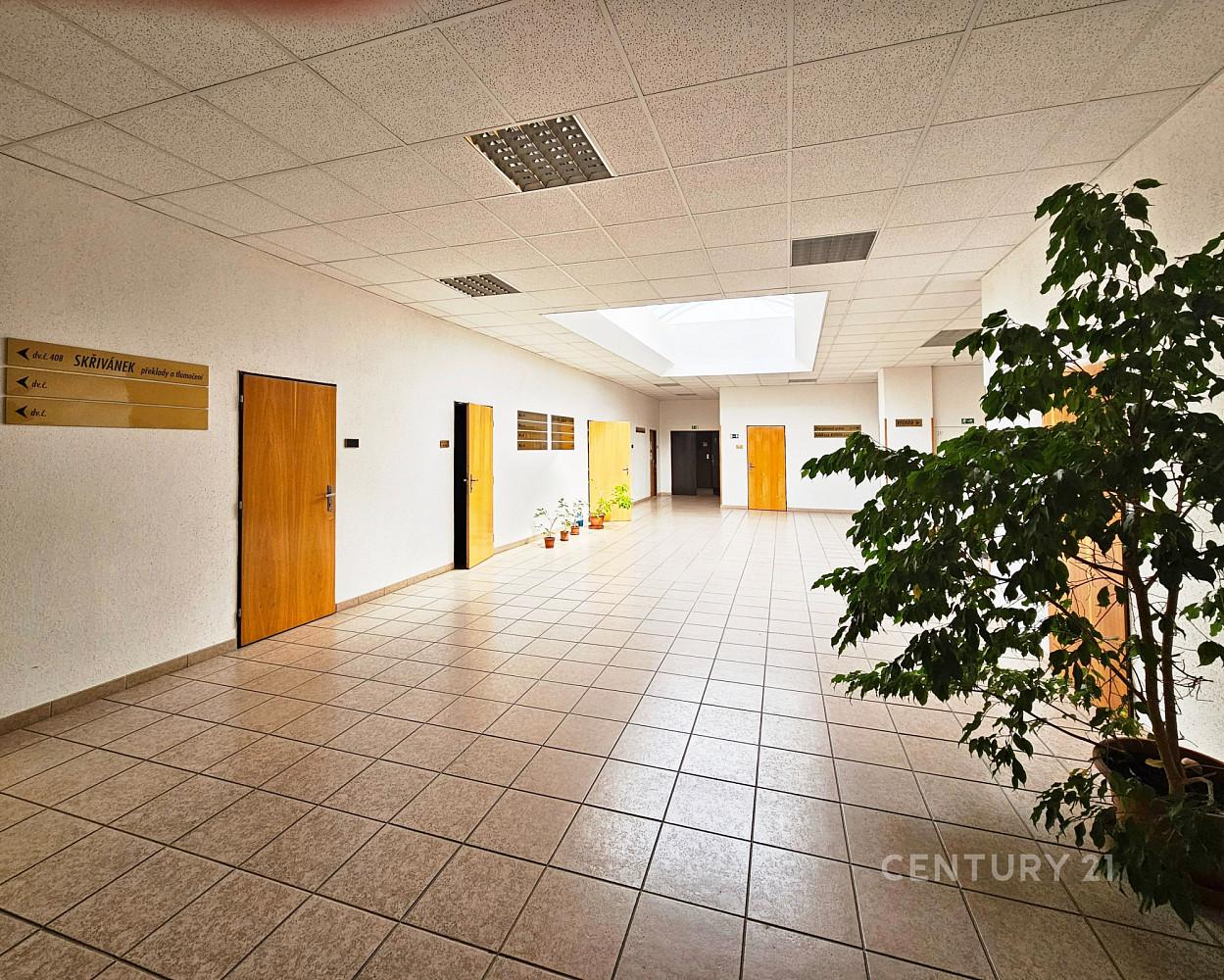 Pronájem kanceláře 59 m² – fotografie 5