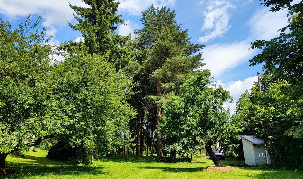 Prodej stavebního pozemku 2 613 m², Kelč – náhled fotky 4