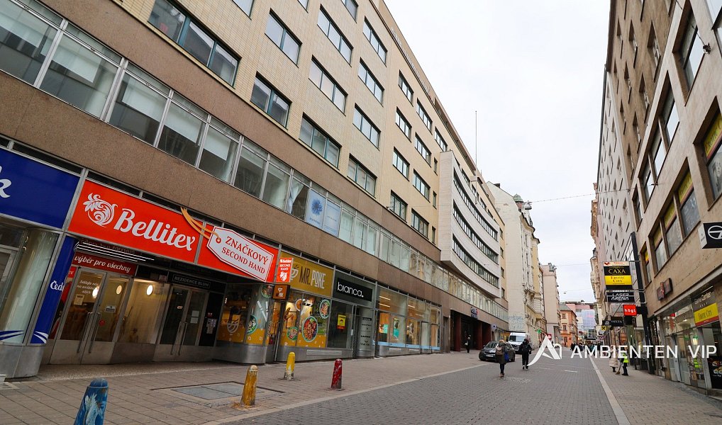 Pronájem bytu 1+kk 28 m², Brno – náhled fotky 9
