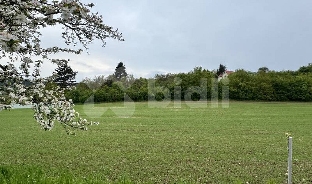 Prodej stavebního pozemku 3 665 m², Mokrá-Horákov – náhled fotky 4