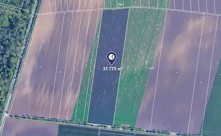 Prodej pole 31 775 m², Sokolnice, okres Brno-venkov