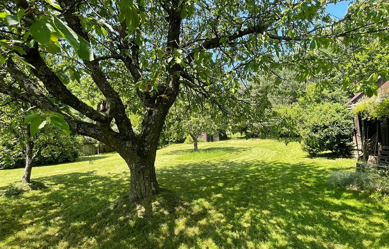 Prodej chalupy 120 m² s pozemkem 1 559 m² – pohled 3