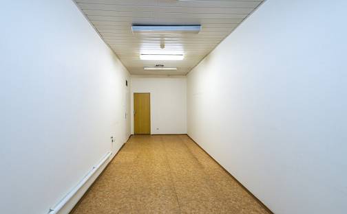 Pronájem skladovacích prostor 32 m², Ohradní, Praha 4 - Michle