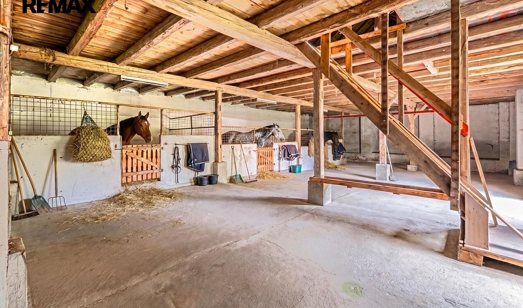 Prodej domu 1 230 m² s pozemkem 1 230 m², Velký Šenov – náhled fotky 10