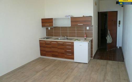 Pronájem bytu 1+kk 25 m², Lužická, Olomouc - Povel