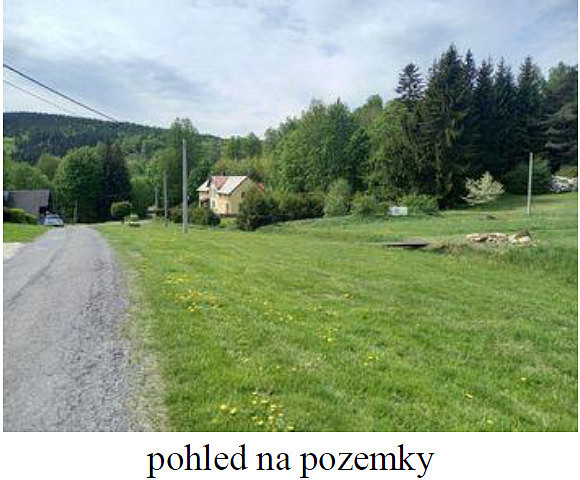 Fotka 11 z 14