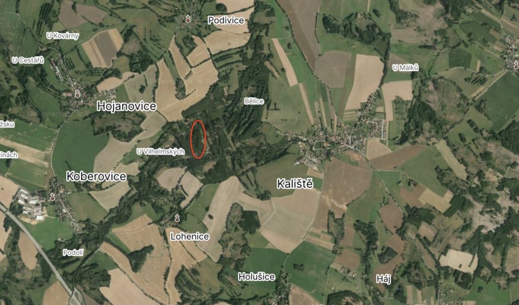 Prodej lesa 19 133 m², Koberovice – náhled fotky 3