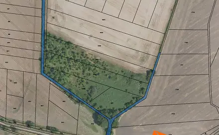 Prodej pole 165 m², Žitovlice, okres Nymburk