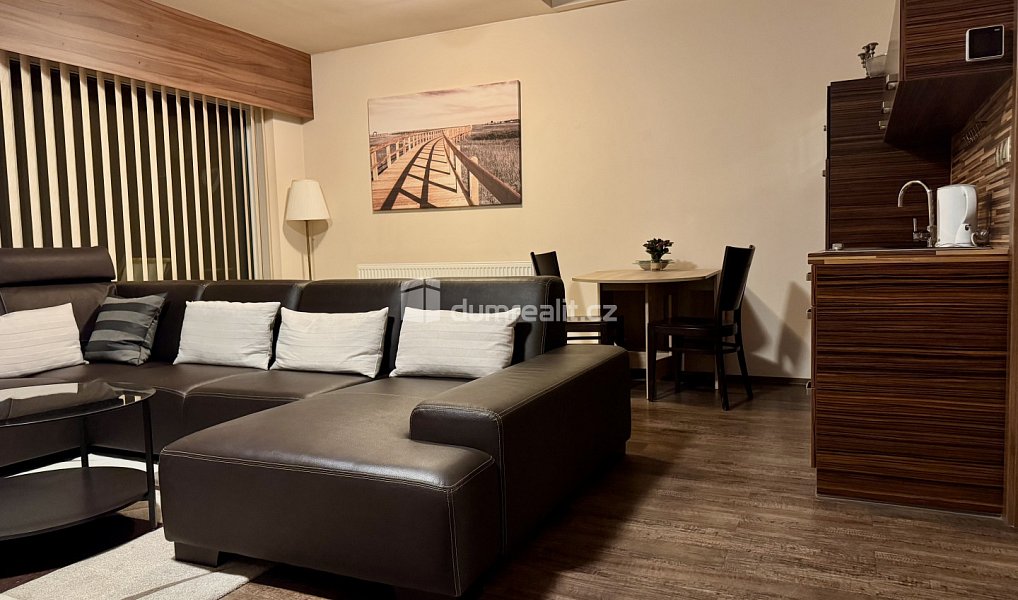 Prodej ubytovacího objektu 908 m², Topolná – náhled fotky 5