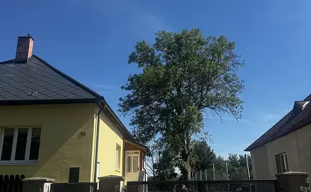 Pronájem bytu 3+1 120 m², Niměřice - Horní Cetno, okres Mladá Boleslav