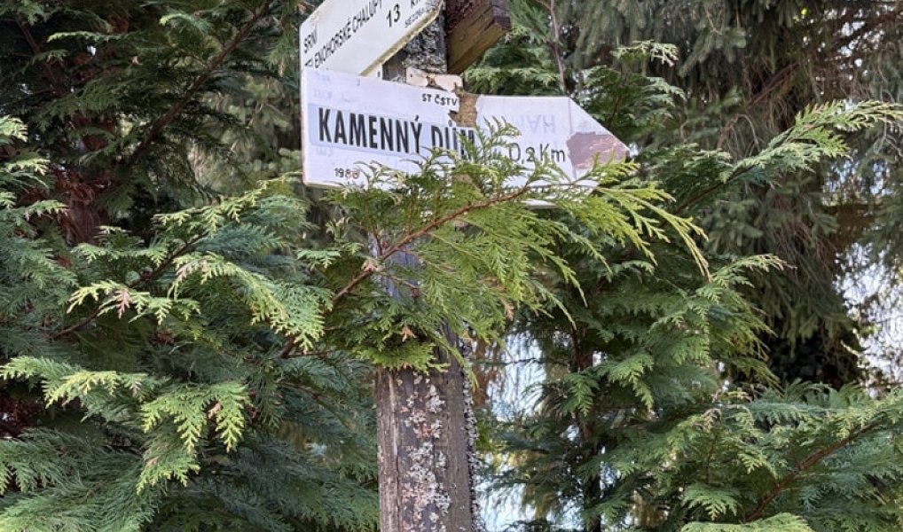 Prodej chaty/chalupy 120 m² s pozemkem 675 m², Srní – náhled fotky 26
