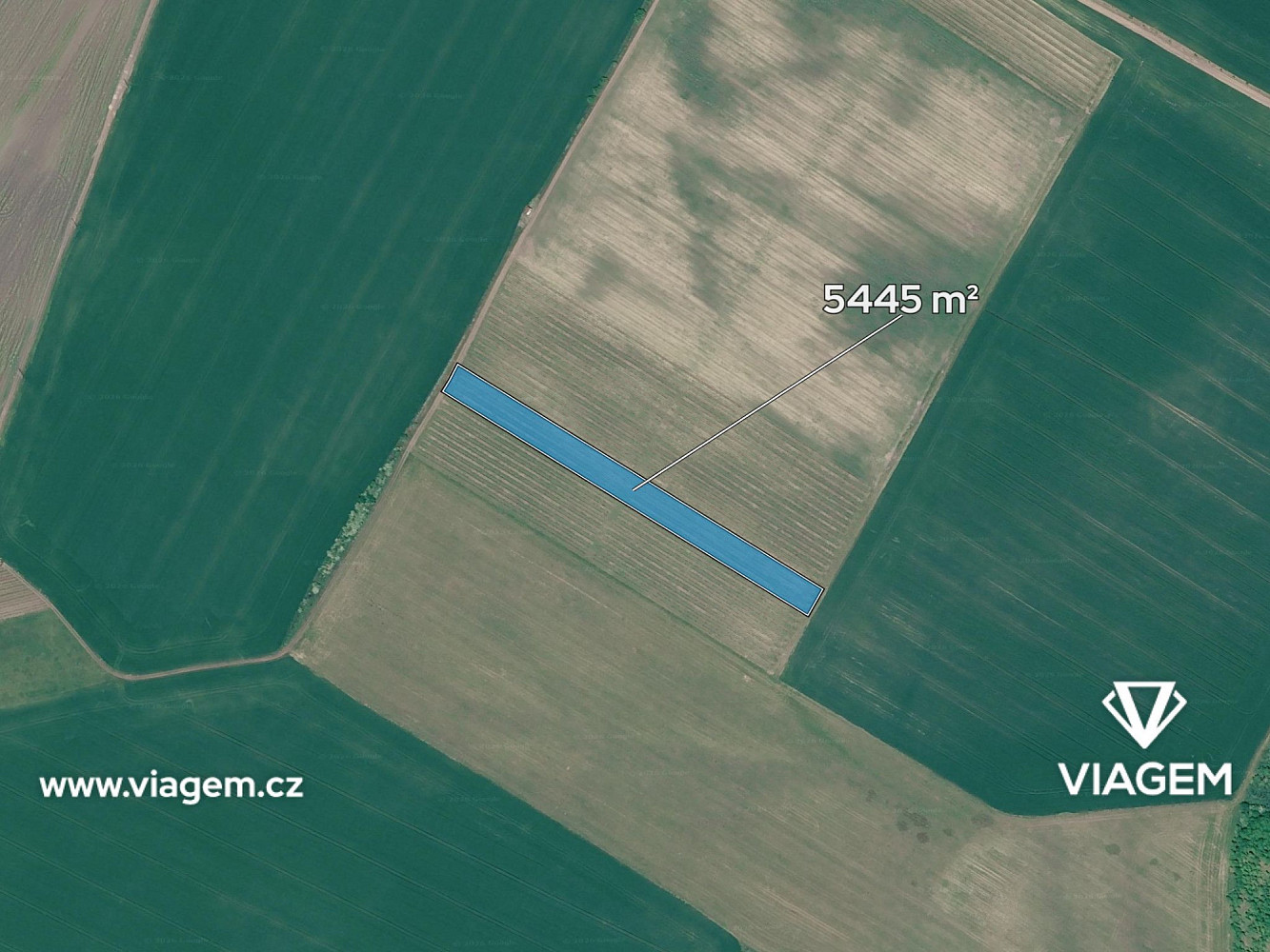 Prodej pole 2 722 m² – fotografie 2