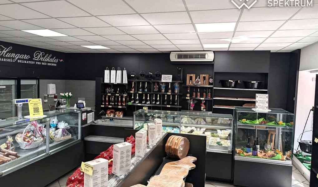 Prodej obchodních prostor 430 m², Ústí nad Orlicí – náhled fotky 7