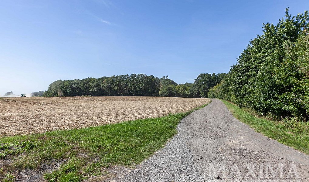 Prodej pole 3 636 m², Lhotky – náhled fotky 15