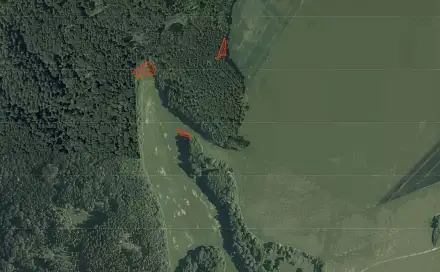 Prodej pole 5 747 m², Ostrov u Macochy, okres Blansko